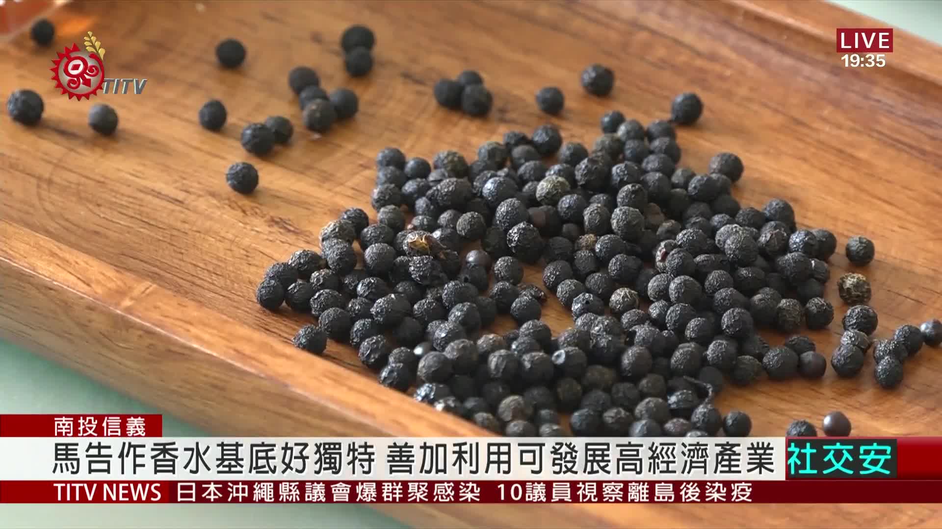 達瑪巒.香氛師合作 開發馬告香水推產業鏈 原住民族文化事業基金會
